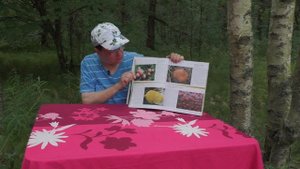 Прекрасная книга чешских микологов - "Грибы.Большая энциклопедия" Из цикла "Библиотечка Грибоведов"