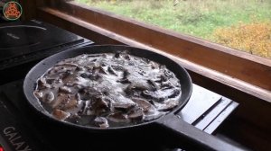 Мы его пожарили! Ежовик  чешуйчатый -Sarcodon squamosus. "Грибная кухня"