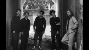 Группа  "Хартия вольностей"