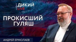 Пендель, или Переругавшись со всеми. Андрей Ермолаев.