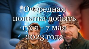 Очередная попытка добыть гуся - 7 мая 2023 года #мой_мир_поморье