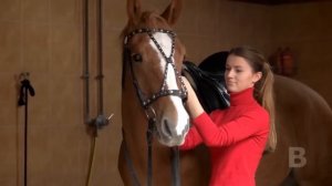 Женщина не могла поверить своим глазам, увидев кого родила её лошадь!