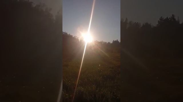 Поле раздольное