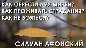 КАК ОБРЕСТИ ДУХ МИРЕН / СИЛУАН АФОНСКИЙ / Беседа по поучениям преподобного №33