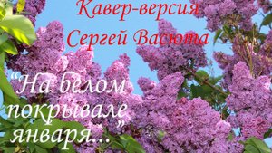Кавер-версия Сергей Васюта "На белом покрывале января"  | Свояченице На ДР