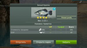 как поймать чёрного карпи в игре My Fishing World