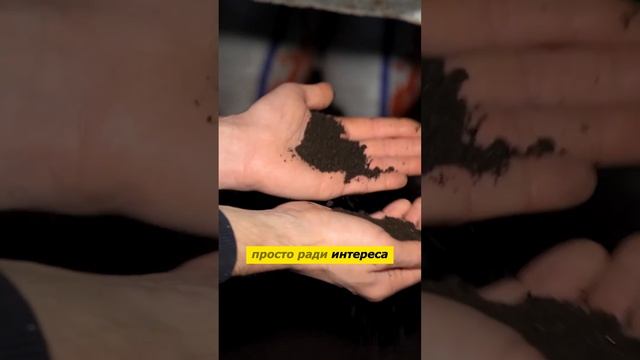 Попробуй другой #биогумус и сравни с этим. Богатый урожай #органическоеудобрение #удобрение #урожай