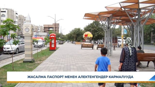 ЖАСАЛМА ПАСПОРТ МЕНЕН АЛЕКТЕНГЕНДЕР КАРМАЛУУДА