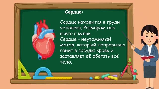 2 класс. Окружающий мир. Строение тела человека