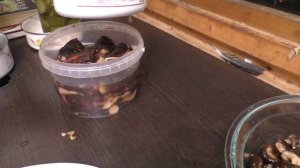 Вымачивание грибов. Очень подробно для новичков.