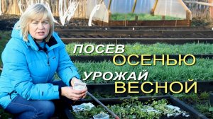ПОДЗИМНИЙ ПОСЕВ СЕМЯН в открытый грунт! Советы от ЗЕЛЕНОГО ОГОРОДА!