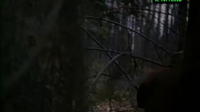 И.ТУРГЕНЕВ. "БИРЮК". смотреть онлайн