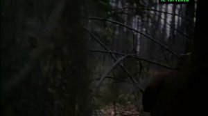 И.ТУРГЕНЕВ. "БИРЮК".