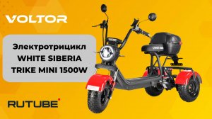 Электротрицикл WHITE SIBERIA TRIKE MINI 1500W