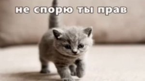 ТРЕНЕР ПО КС 2 С АВИТО (4) #cs2 #csgo #кс2 #авито #ксго #рекомендации