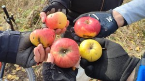 Озеро Юннатов_10.2024