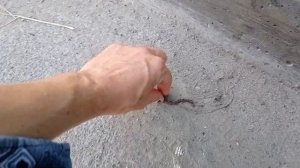 Дальнобой по России движуха Екатеринбург Пятигорск четыре выгрузки#дальнобойщики #россия #kz #kg