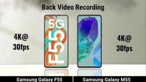 сравнение характеристик  телефонов Samsung F55 против Samsung M55, что лучше взять