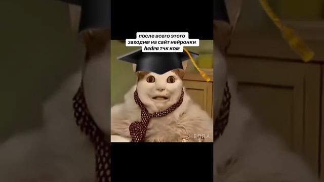 как делать мем с котом бу испугался не бойся