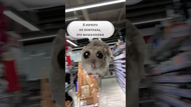 Когда тебе очень нужна новая пряжа смотреть онлайн