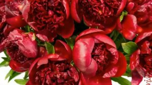 С Днём Рождения, Мамочка! ❤