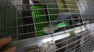 ПРОВОЖУ ЭКСКУРСИЮ!