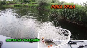 Спиннинг на реке Урал.