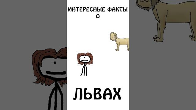 Интересные факты о Львах