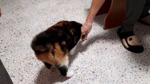 #149♥️СЕМЬЯ Мы оказались никому не нужны Это нужно видеть свежие новости  @BELKA_NA_MORE