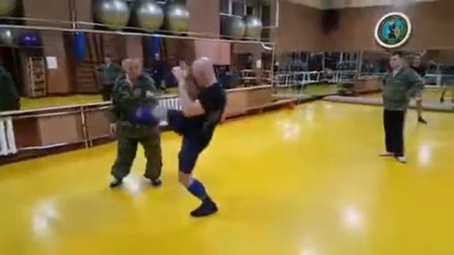 О.В. Стариков - Смещение и расслабление
