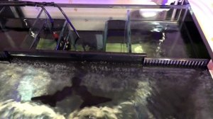 Запуск Патч-рифа. Засолка воды.