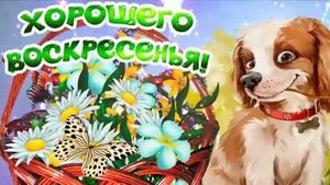 Хорошего воскресенья! Отличного настроения!