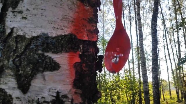 Леший 2, коллиматор и ложки. смотреть онлайн