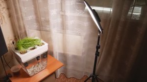 Viltrox. Стойка-Трипод