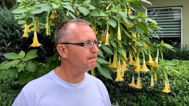 Турция отдых 2021 Аленка и Игорь. смотреть онлайн