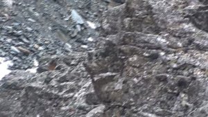 Полярный Урал 2017