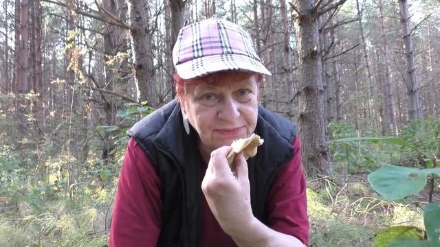 Лучше без алкоголя! Говорушка булавоногая - Ampulloclitocybe Clavipes