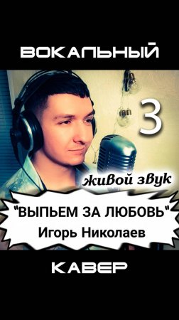 Выпьем за любовь. Кавер. Кинам. Игорь Николаев. Часть 3