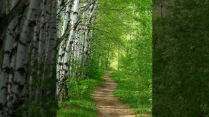 Очистка человека - сеанс Кундалини рейки