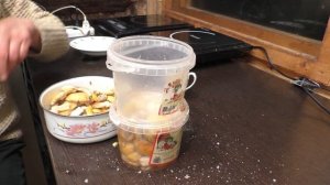 Рецепт малосольных сыроежек. Сухой засол.