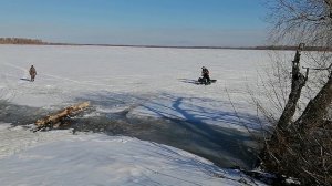Мотособака штурмует открытую воду. Закрытие зимней рыбалки.