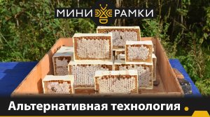 Альтернативная технология получения секционного сотового меда