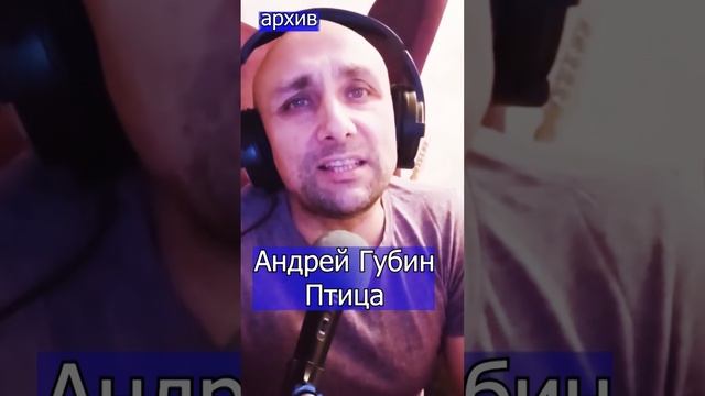 Андрей Губин - Птица Клондайс кавер из архива