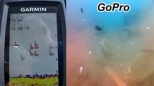 Garmin striker vivid 4cv How to read sonar and use the fish symbol #garmin #fishfinder