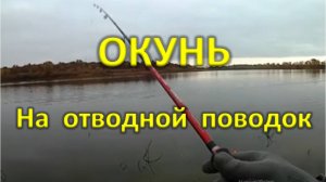 Ловля окуня на отводной поводок