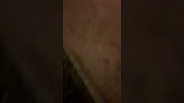 Спасаем самокат Юрент от утопления