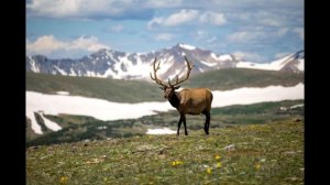 19.4. Сила зелёного зелья