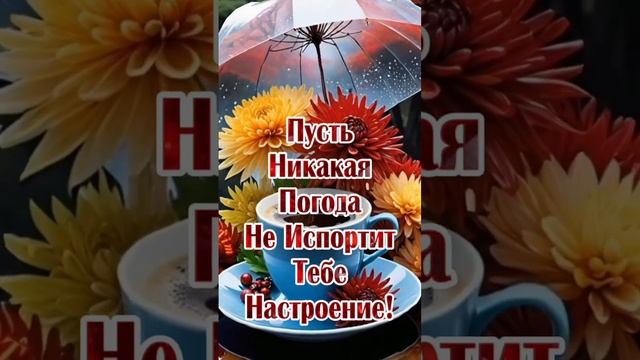 Пожалуйста, поддержите мой труд - поставьте лайк и подпишитесь на мой канал с открытками! Я буду ...