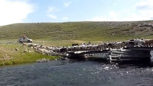 Козлы и бараны устроили пробку на мосту.