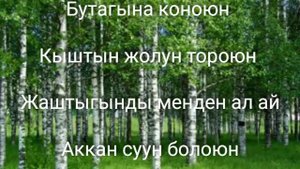 Жамиля Муратова "Ак кайын"